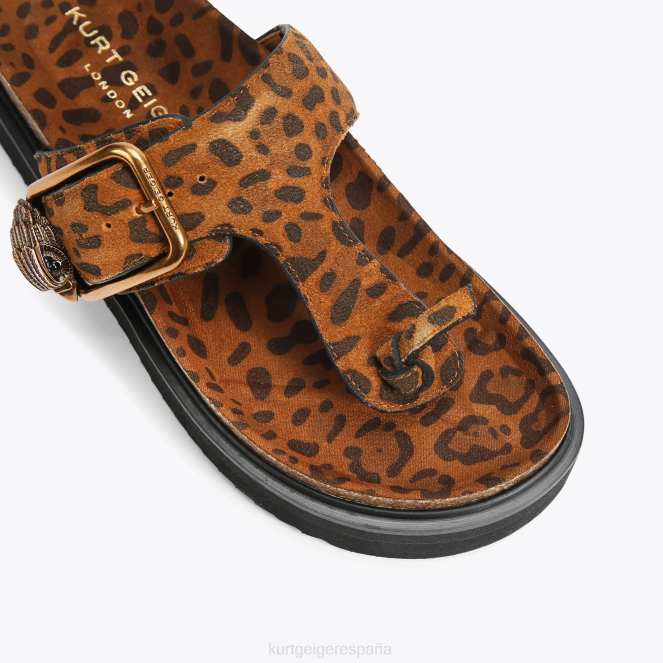 Kurt Geiger mujer chanclas con barra en T y hebilla con águila de Londres 2LPR442 | calzados marrón medio